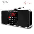 Lefon Digital Portable Radio AM FM Bluetooth Speaker Stereo MP3 Player TF SD Card USB Drive Handsfree Call LED Display Speakers