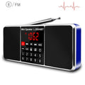 Lefon Digital Portable Radio AM FM Bluetooth Speaker Stereo MP3 Player TF SD Card USB Drive Handsfree Call LED Display Speakers