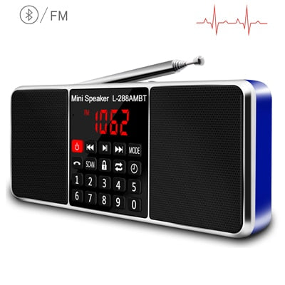 Digital Portable Radio