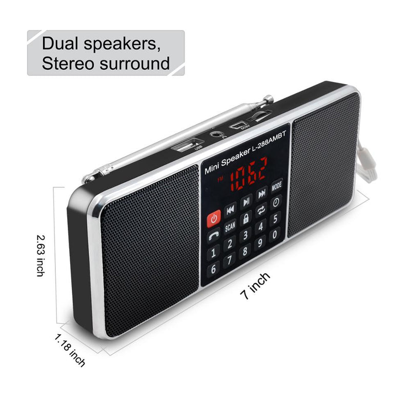 Digital Portable Radio